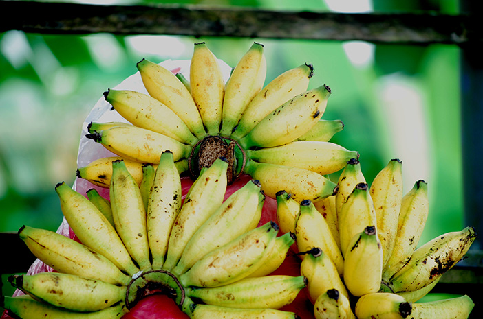 5 Manfaat Pisang Untuk Kesehatan